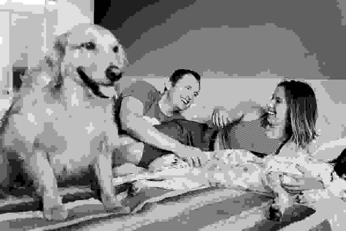 ensaio-fotografico-familia-curitiba, ensaio-com-cachorro-curitiba, ensaio-pet-curitiba, ensaio-casal-curitiba, book-casal-curitiba, ensaio-familia-curitiba