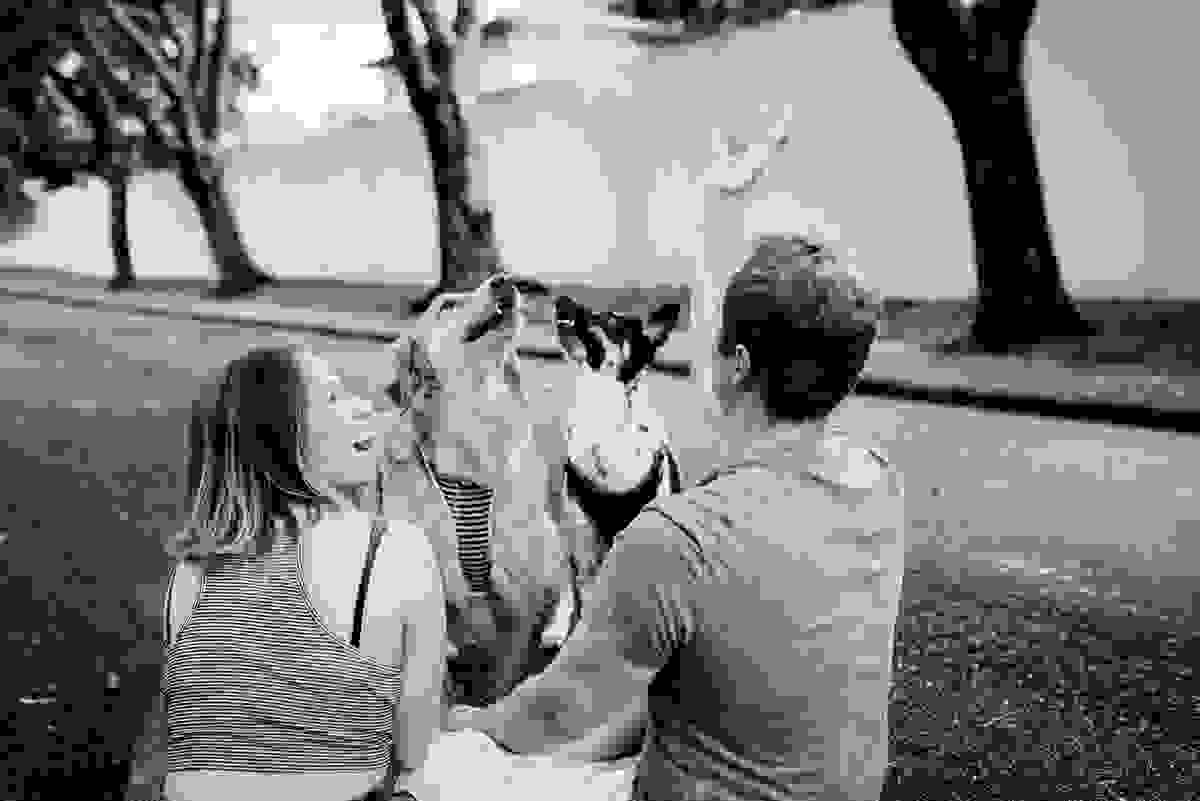ensaio-fotografico-familia-curitiba, ensaio-com-cachorro-curitiba, ensaio-pet-curitiba, ensaio-casal-curitiba, book-casal-curitiba, ensaio-familia-curitiba