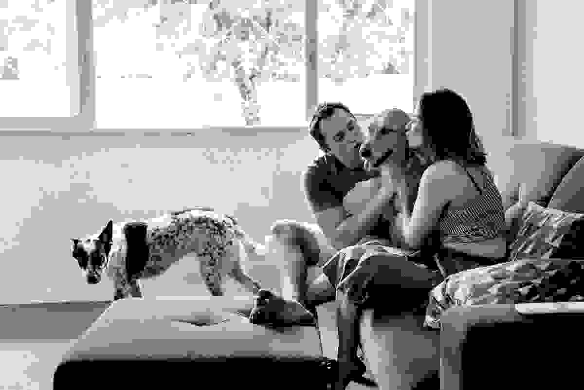 ensaio-fotografico-familia-curitiba, ensaio-com-cachorro-curitiba, ensaio-pet-curitiba, ensaio-casal-curitiba, book-casal-curitiba, ensaio-familia-curitiba