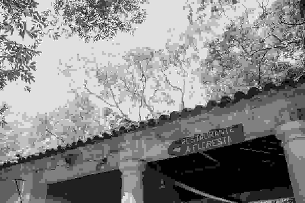 Atelier de Fotografia Afetiva Aline Lelles e Rodrigo Wittitz, Fotografia Lifestyle, Fotografia de Bebê, Fotografia de Familia, Batizado, Floresta da Tijuca, Restaurante A Floresta, Rio de Janeiro - RJ
