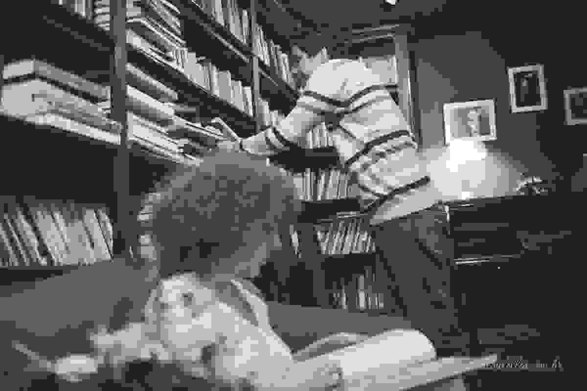 Livros, chás e histórias de amor | Ensaio de Casal Rio de Janeiro | Winnee e Ângelo