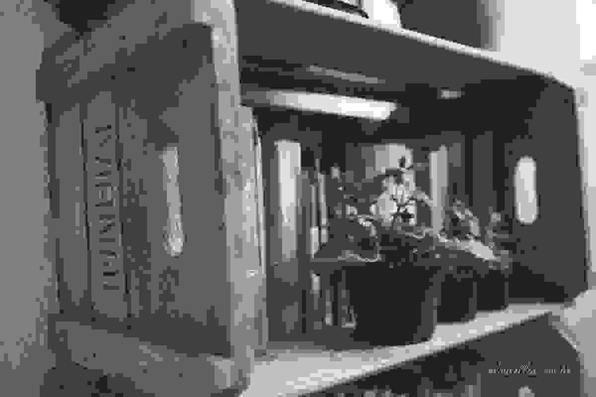 Livros, chás e histórias de amor | Ensaio de Casal Rio de Janeiro | Winnee e Ângelo