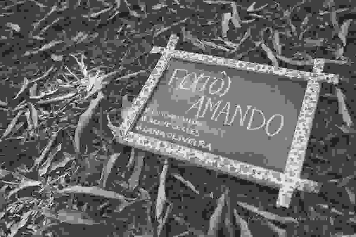 FO(TÔ) AMANDO! Amar, conectar, expandir e criar | Encontro de Fotografia Rio de Janeiro com Aline Lelles