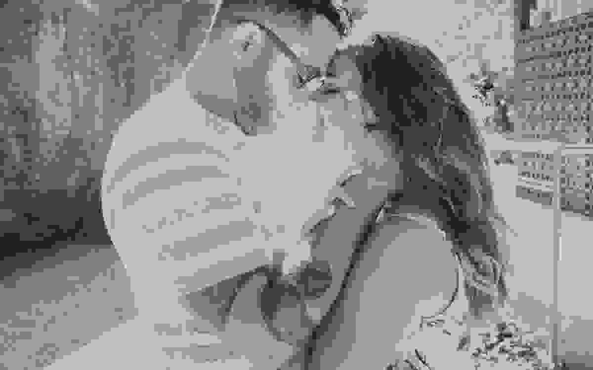 aline lelles, atelier aline lelles, atelier de fotografia, aula de fotografia rio de janeiro, casados, casados para sempre, casais, casal, couple, curso de fotografia rio de janeiro, direcao de ensaios, e-session, ensaio de casal, ensaio romantico, fotogr
