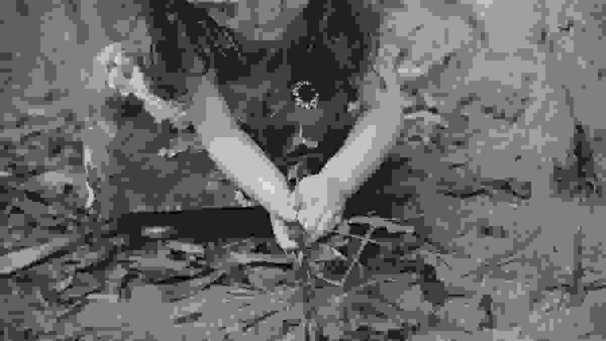 crianças jogando folhas de arvores para o alto durante ensaio fotografico no jardim botanico do rio de janeiro