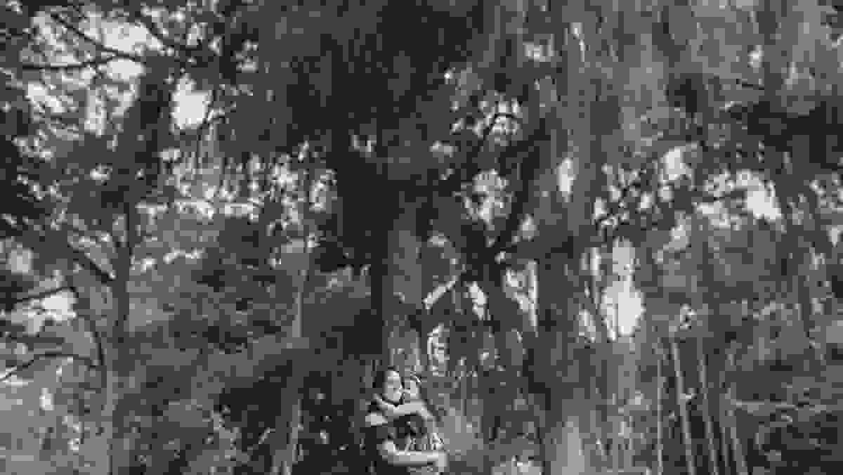 momento de ternur durante a sessao de fotos com a fotografa de família aline lelles no jardim botânico do rio de janeiro