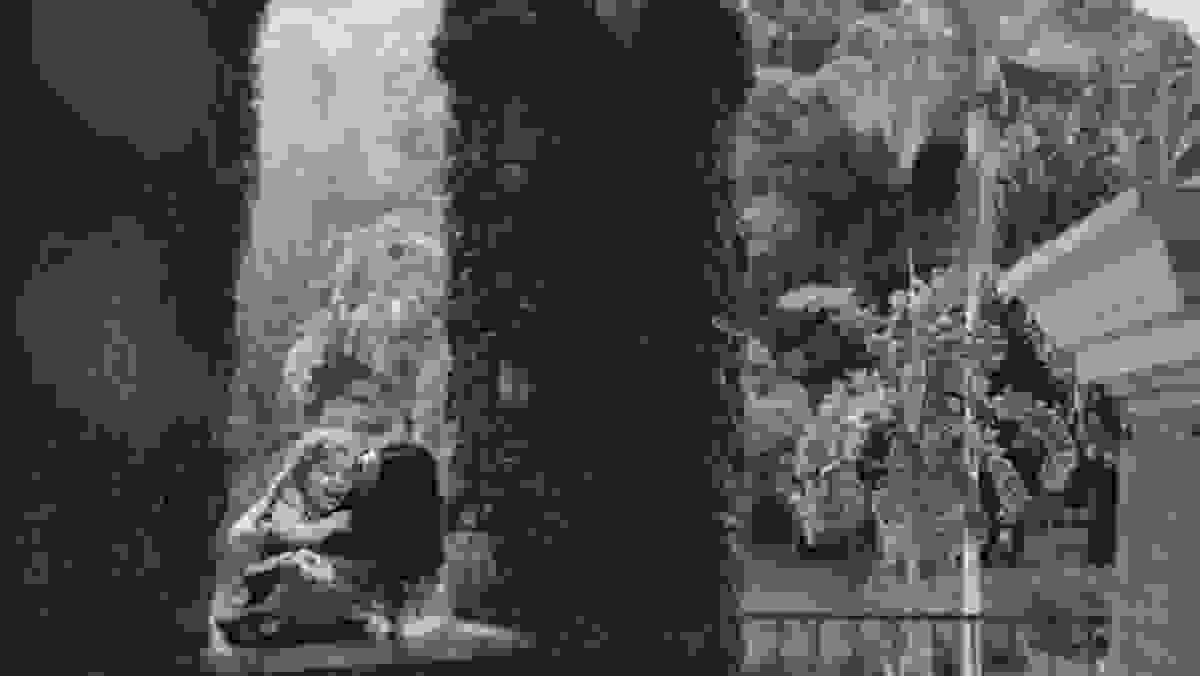 momento de ternur durante a sessao de fotos com a fotografa de família aline lelles no jardim botânico do rio de janeiro