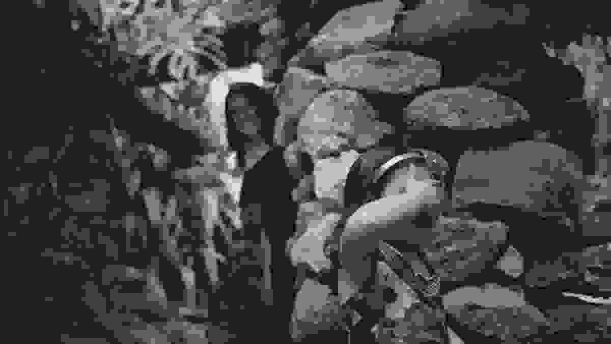 mãe e filha se divertem brincando de pique-esconde durante ensaio fotográfico de família no jardim botânico do rio de janeiro