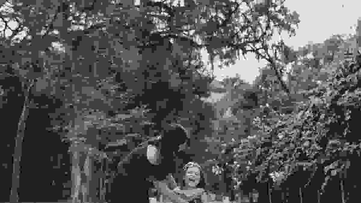 mãe e filha se divertem em ensaio fotográfico no jardim botânico com a fotógrafa aline lelles