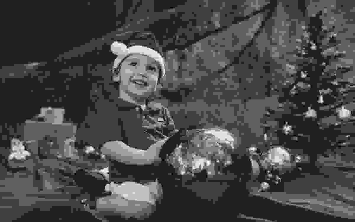 Enfeite de Natal | Árvore de Natal | Papai Noel | Fotografia de Família | Fotografia Externa