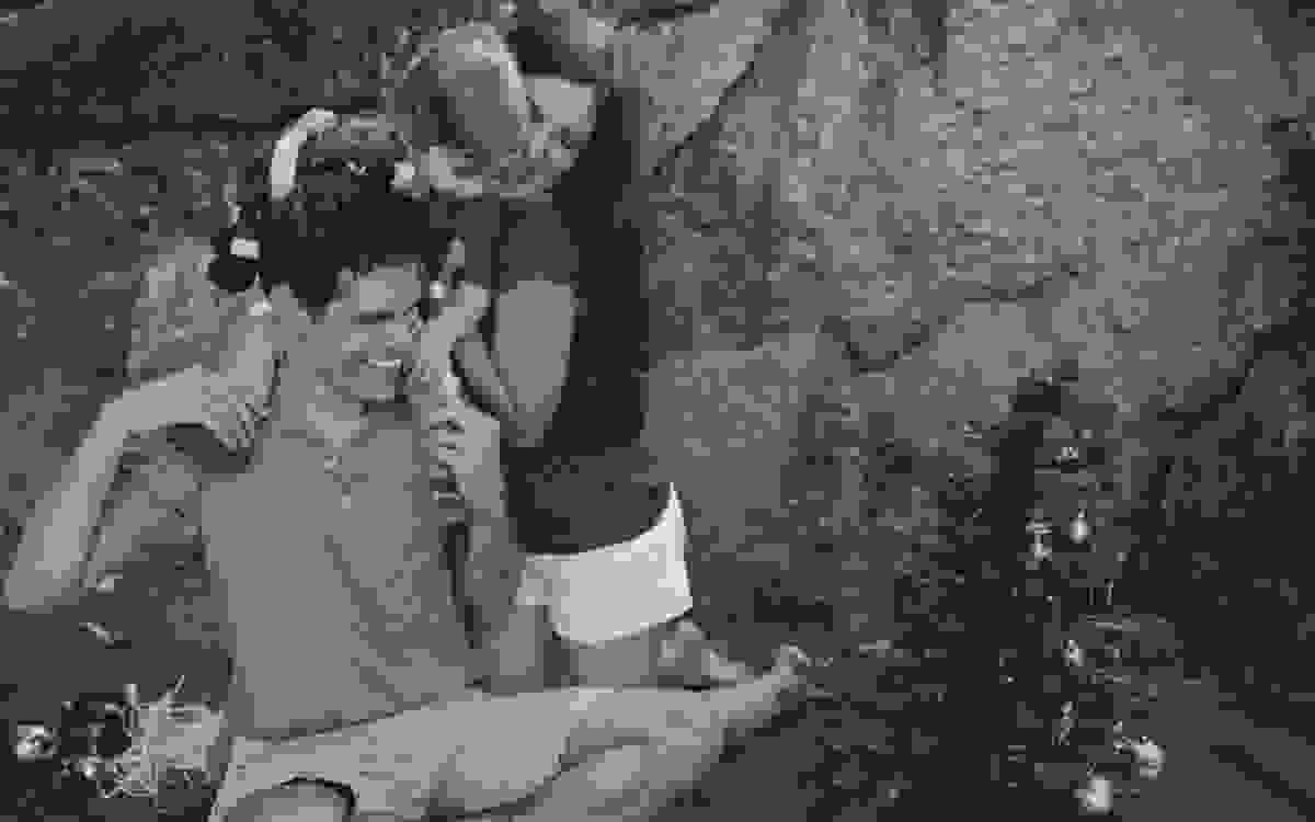Aline Lelles fotógrafa de família no sessão de fotos com Antônio na Reserva do Grajaú - Rio de Janeiro - RJ