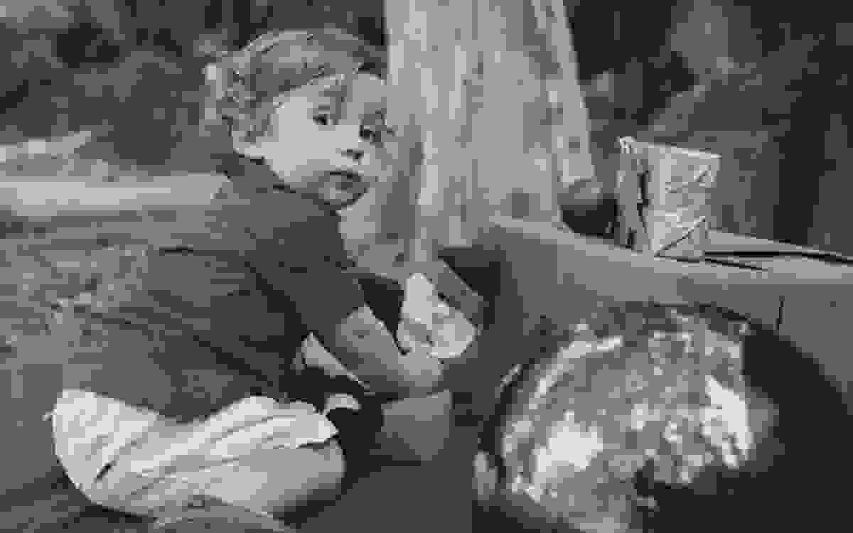 Fotografia de Família | Sessão Fotográfica | Fotos de Natal | Ensaio de Natal