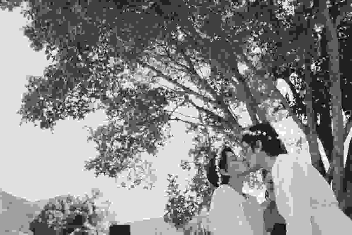 Fotógrafa Aline Lelles | Celtic Wedding | Cerimonia Celta | Cerimonia de Casamento | Cerimonia Homoafetiva | Cerimonia de Dia | Wedding