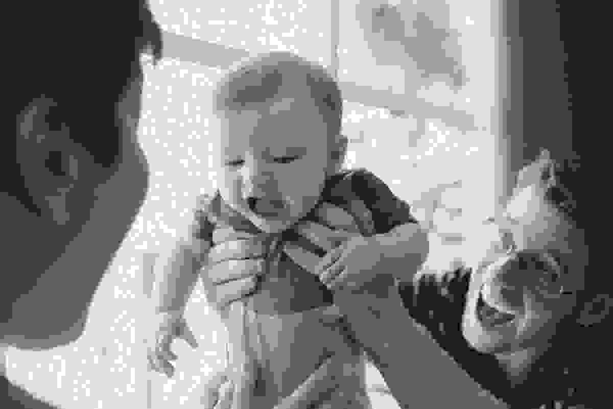 Fotografia Afetiva Aline Lelles e Rodrigo Wittitz | Acompanhamento de Bebê | Ensaio de Família , Fotografia de Família , Fotografia Lifetsyle , Bebês