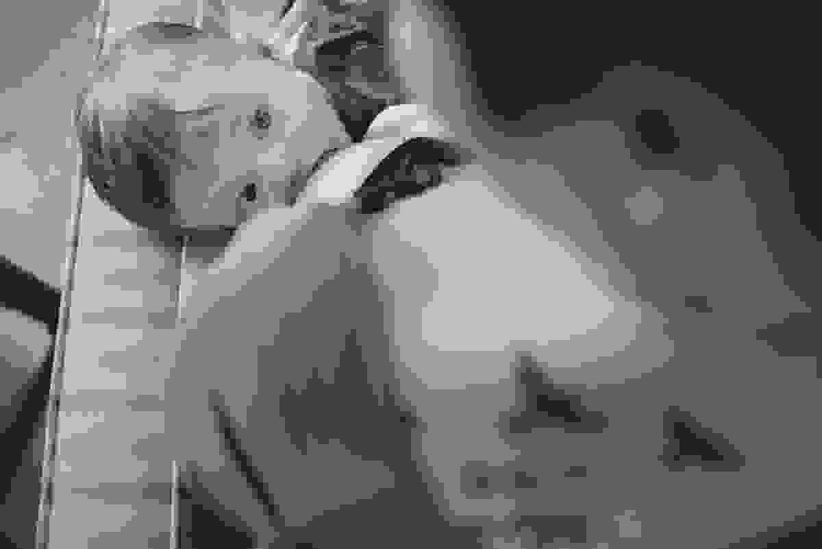 Acompanhamento de Bebês | Fotografia de Família , Ensaio de Família , Ensaio de Casal , Ensaio de Bebê , Fotografia Afetiva , Aline Lelles e Rodrigo Wittitz Fotografia Afetiva