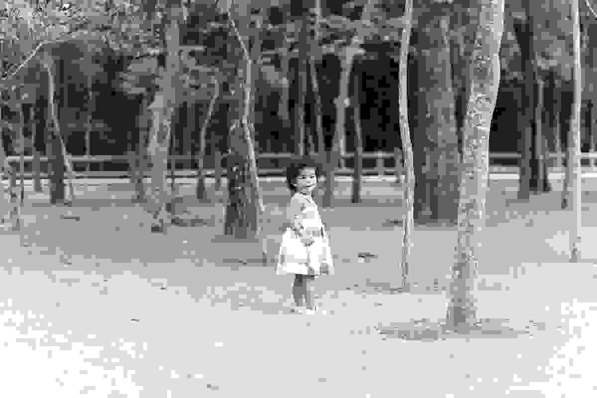 ensaio família, realizado no Parque Botânico da Vale, que fica em Vitória - ES, próximo a praia de Camburi, fotografia externa, fotos externas by Tássila Costa