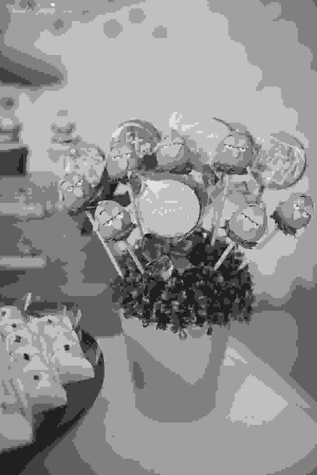 festa de menino, no tema pocoyo,desenvolvido pela loja As Meninas Locações, em Vitória ES, festa em casa, fotografia by Tássila Costa fotógrafa