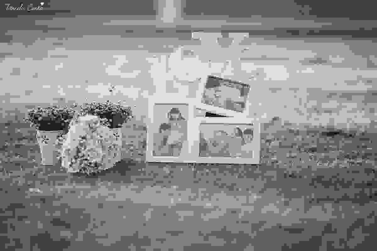 ensaio de 2 anos da Alice, na Ilha do Frade, com luz natural, fotos espontâneas em família, cenário lindo de Alice no País das Maravilhas, fotos da Tássila Monteiro Costa