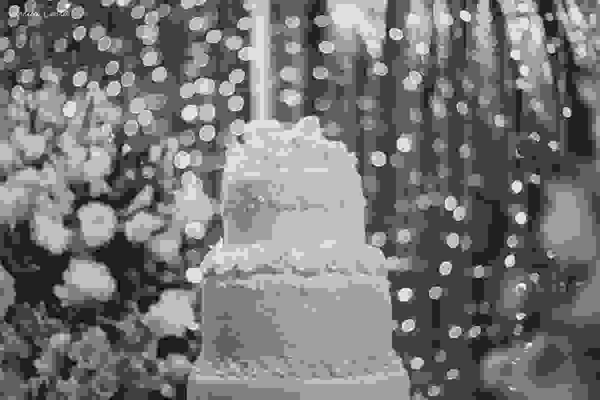 fotos de casamento realizado em Guarapari, litoral do Espírito Santo, sítio dos sonhos para fazer festa de casamento em Guarapari, noivos lindos e apaixonados, fotografia de casamento vitória es