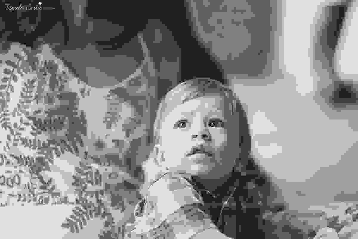 festa infantil na casa da vó, no bairro Ilha do Frade, família Tommasi, Loratórios Tommasi, Vitória ES, decoração Ipê Amarelo Festas, Filmagem Mano Birck