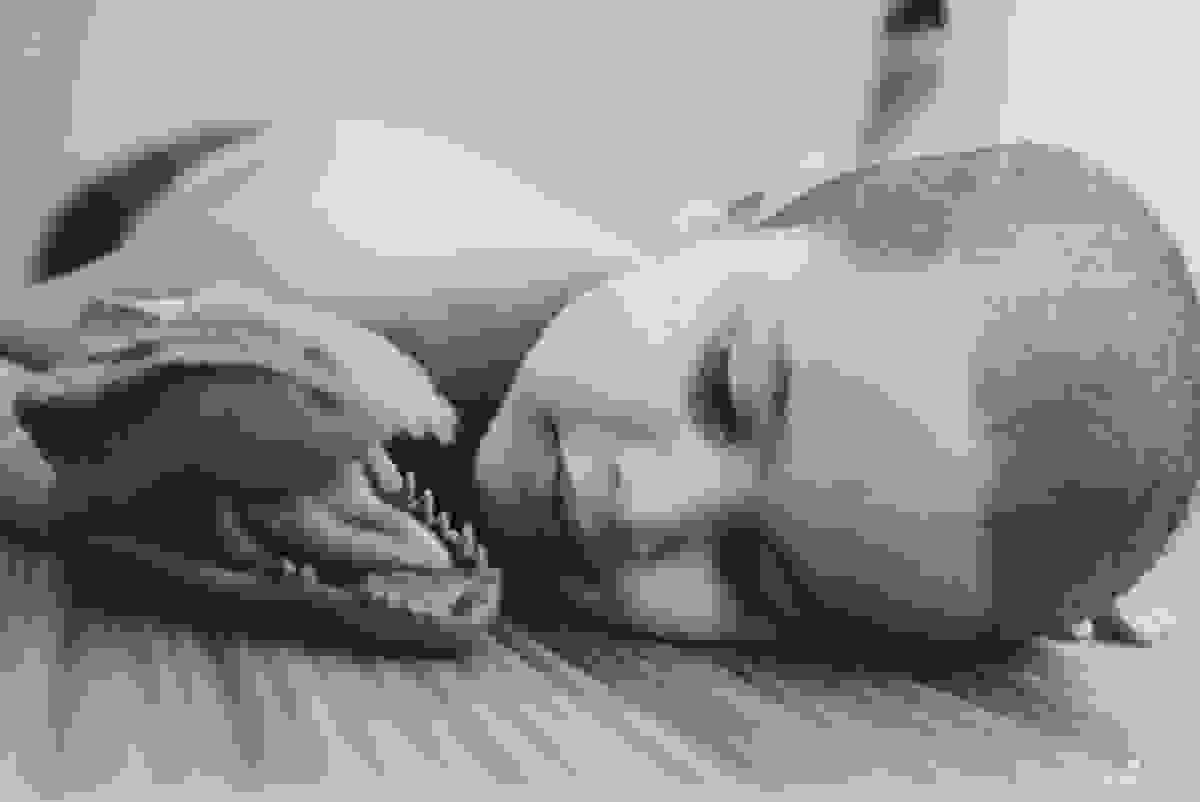 tássilafoto#fotosdeestudio, 03anos, dinossauro, ensaio03anos, fotosemestudio, estúdiotássilacosta, vilavelha, vilavelhaes