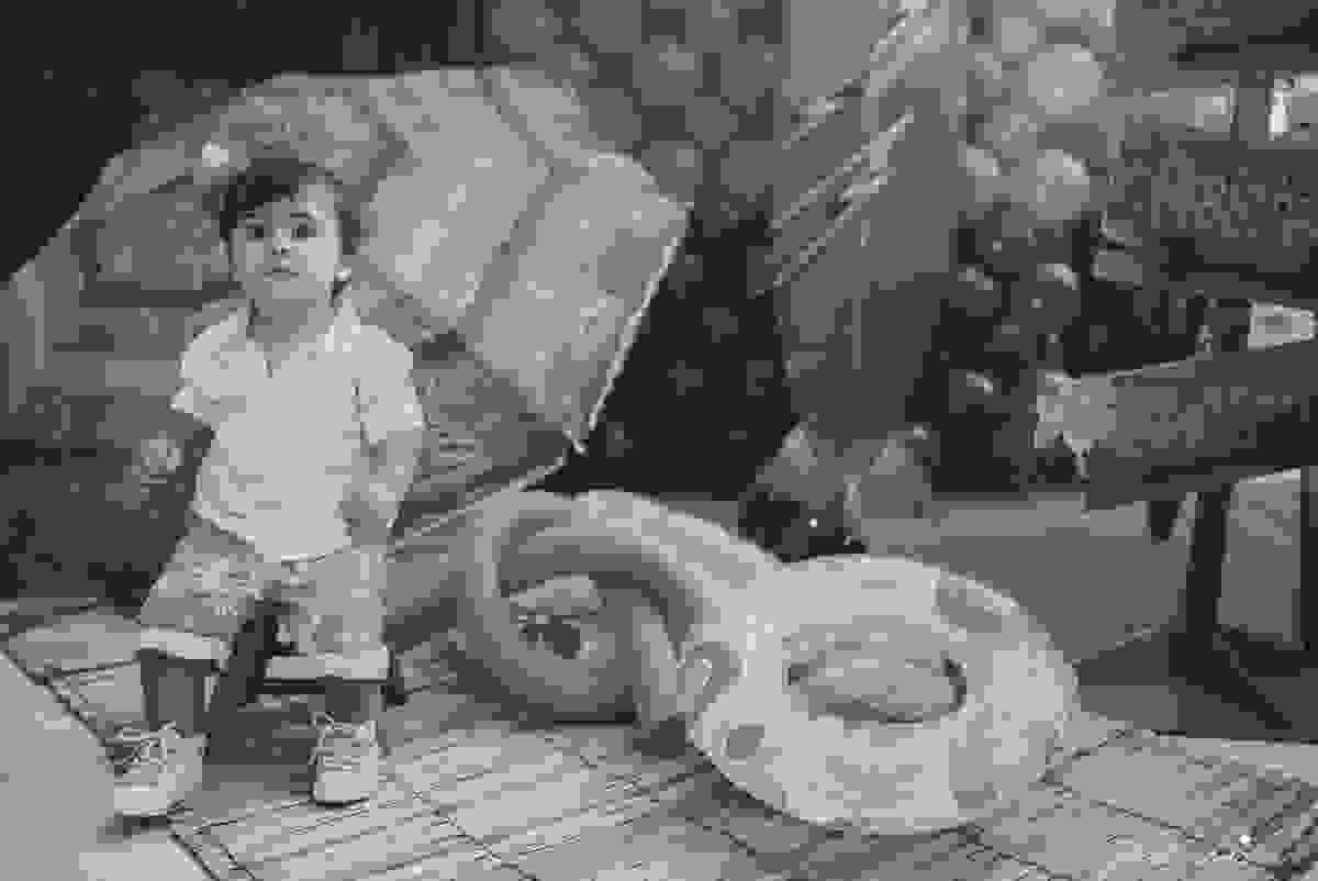 tássilafoto, bryan1ano, festainfanti, aniversarioinfantil, 01ano, festainfantiles, aniverdecriança, festademenino, vilavelha