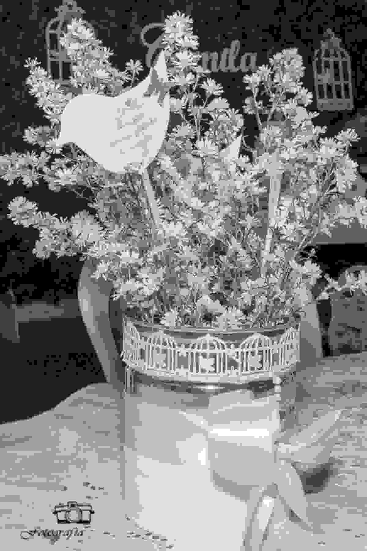 Tema da festa, flores e passaros