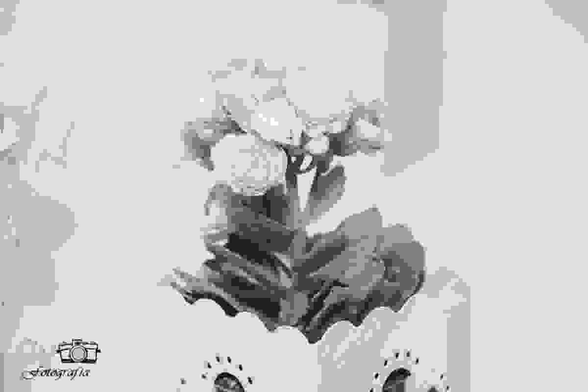 Cachepo de flores