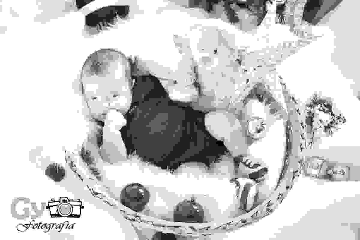 Ensaio natalino mini ensaio fotografo