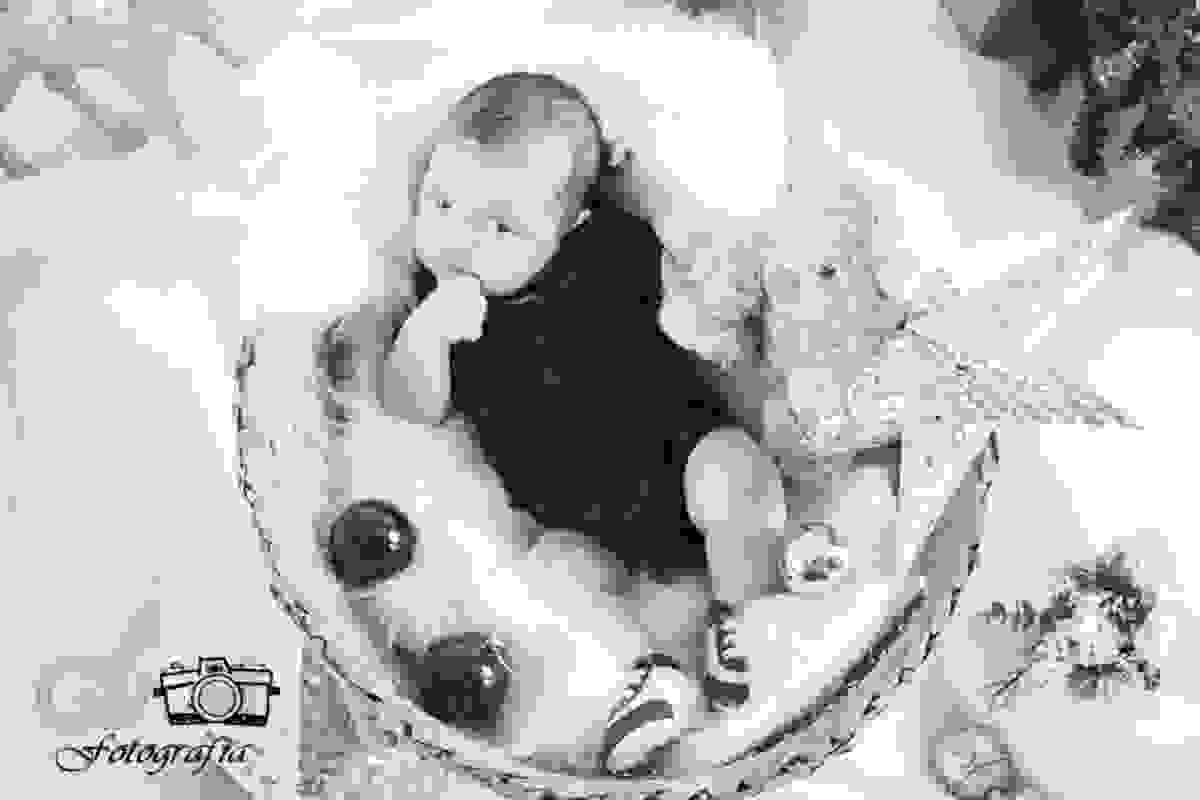Ensaio natalino mini ensaio fotografo