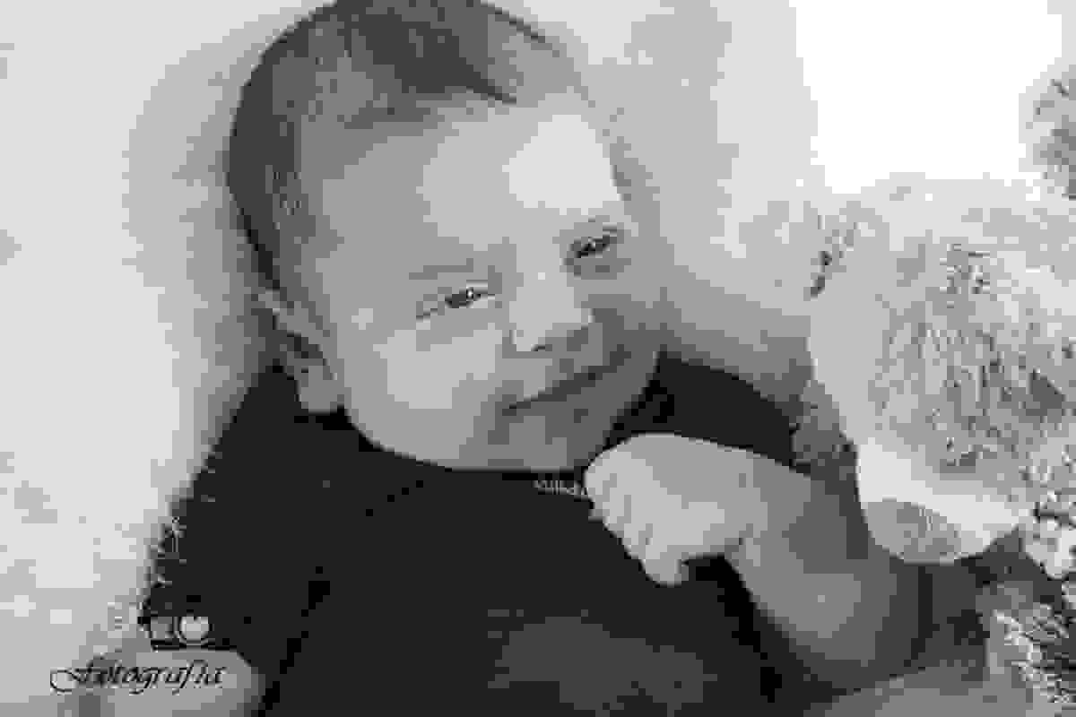 Ensaio natalino mini ensaio fotografo