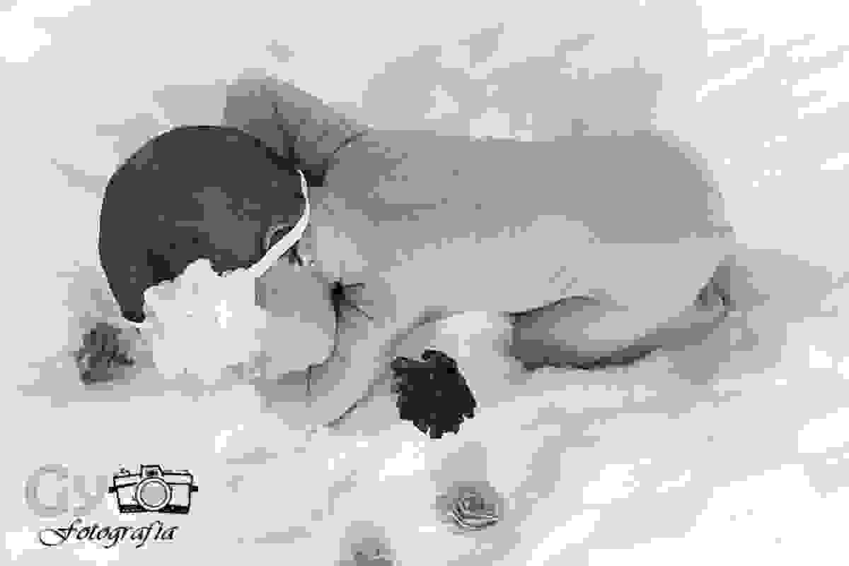 Ensaio newborn em londrina, ensaio de bebe, fotografo