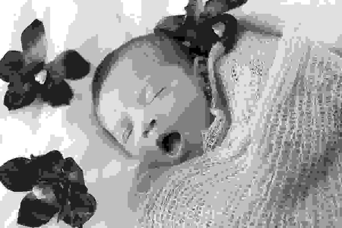 Ensaio newborn, carnaval, londrina, fotografo