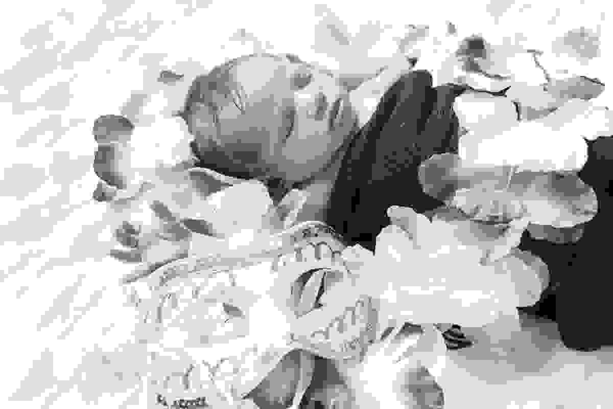 Ensaio newborn, carnaval, londrina, fotografo