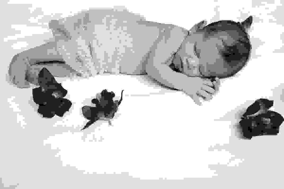 Ensaio newborn, carnaval, londrina, fotografo