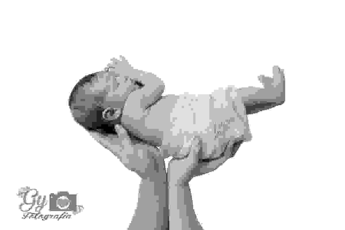 Ensaio newborn, carnaval, londrina, fotografo