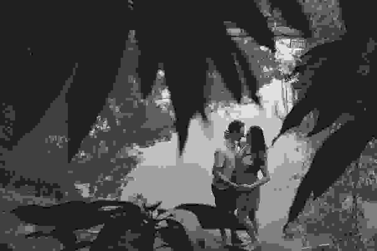 O casal perto do lago por entre as folhas da árvore