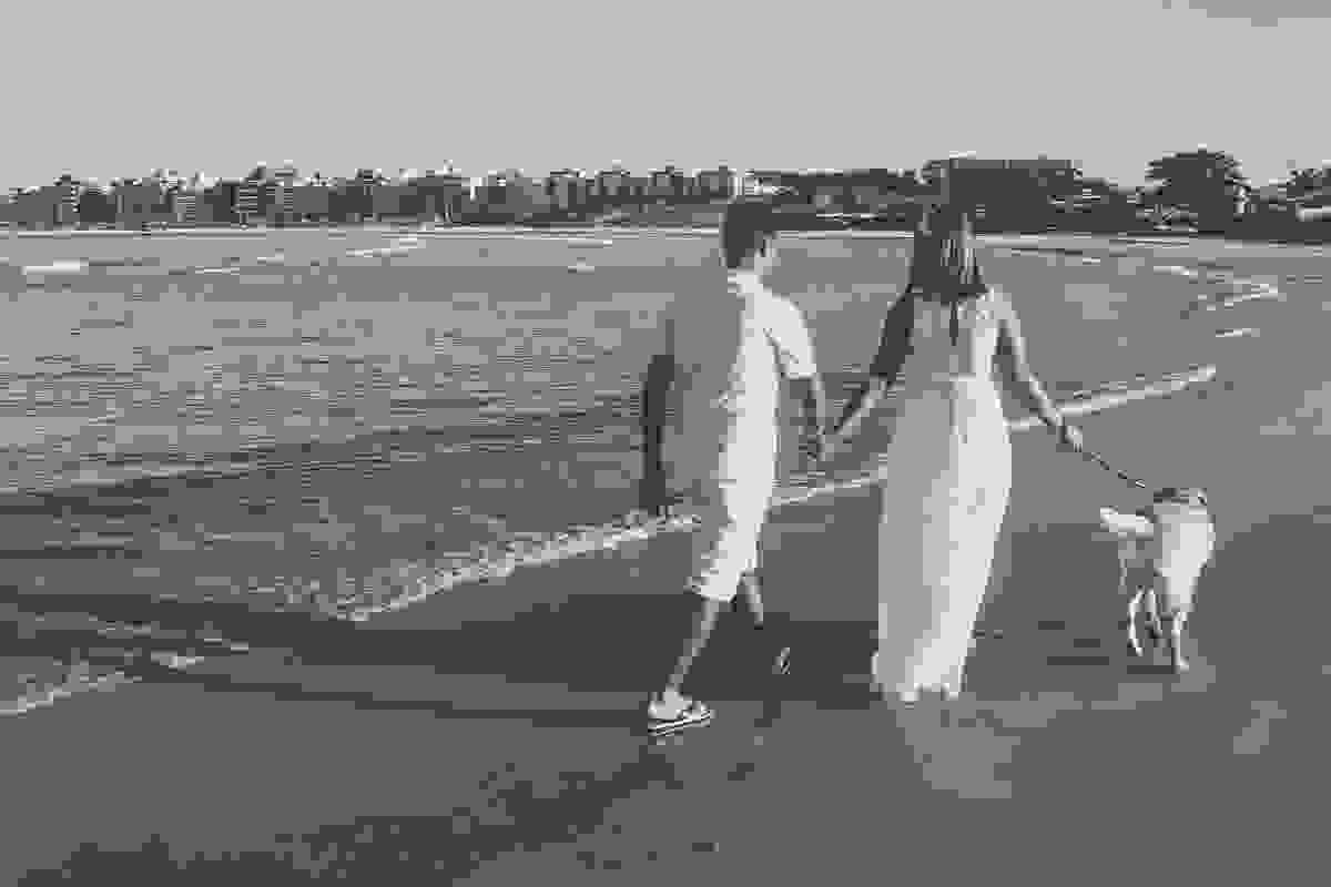 casal passeando com o cachorro na beira da praia