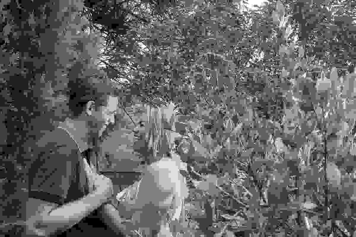 Casal se divertindo perto de flores vermelhas ensaio pré casamento