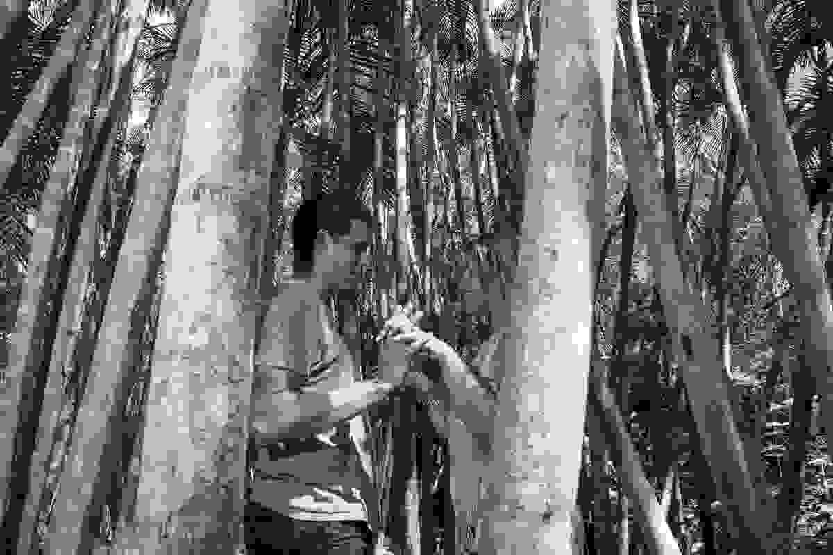 Casal de mãos entrelaçadas por entre as arvores do parque da cidade de rio das ostras no ensaio pré casamentp