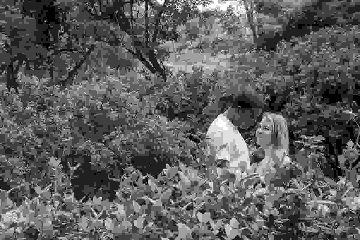 casal se olha em fotografia feita em volta de lindo arbustro de flores no ensaio pré casamento
