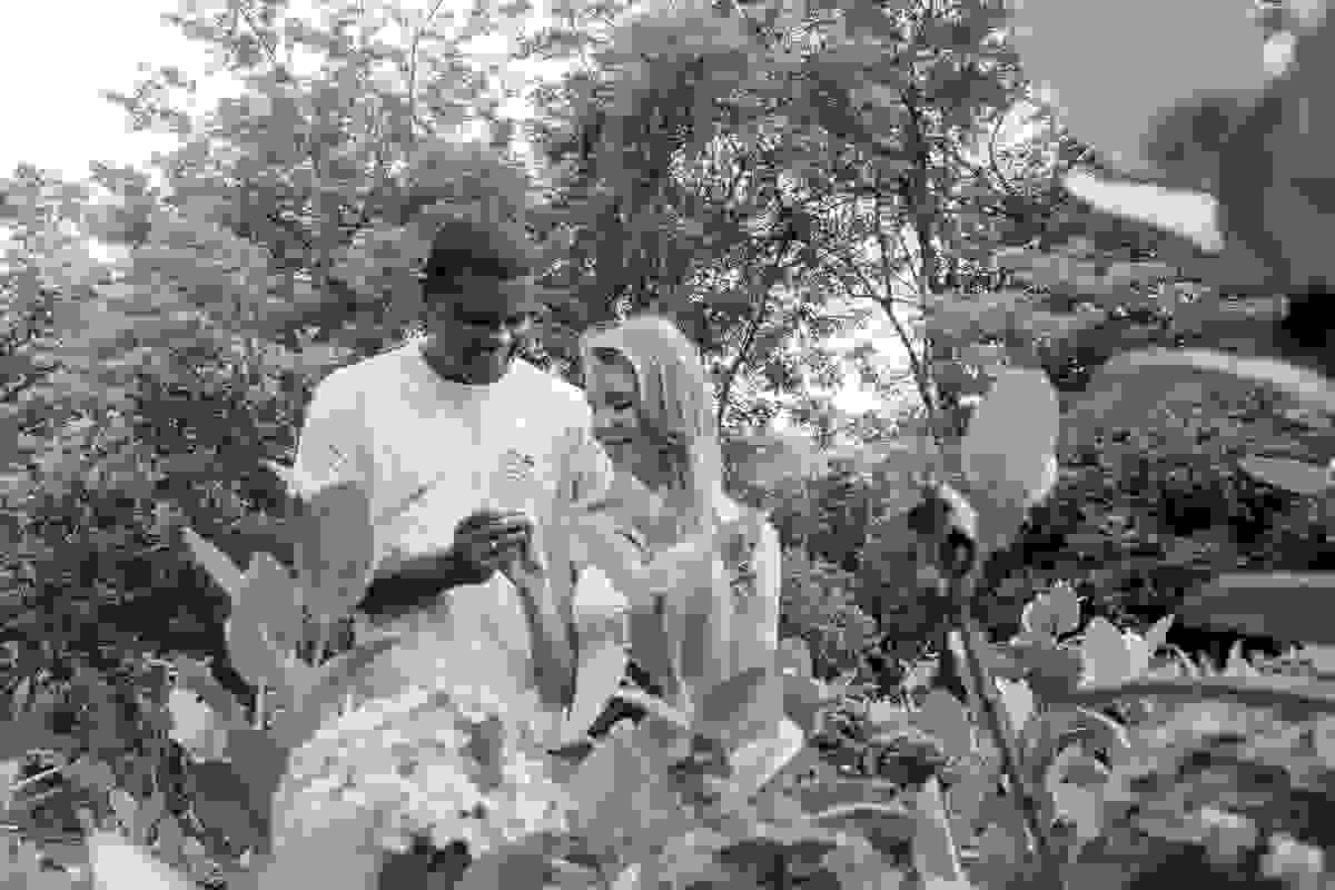 noivo oferece a flor do jardim para a noiva em ensaio pré casamento