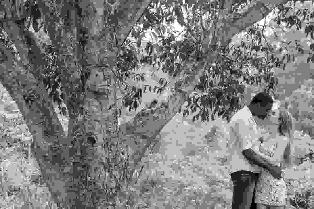 A bela vegetação do Parque da Cidade de Rio das Ostras é o cenário para esta foto de casal em seu ensaio pré casamento