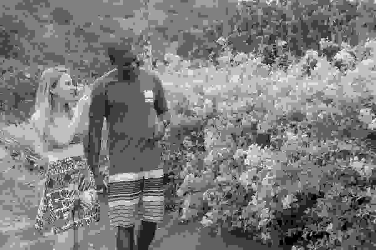 Casal caminha entre as flores do parque da cidade de rio das ostras em seu ensaio pré casamento