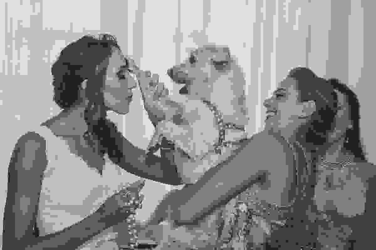 Casamento ao Ar Livre em Rio das Ostras - RJ - cachorro