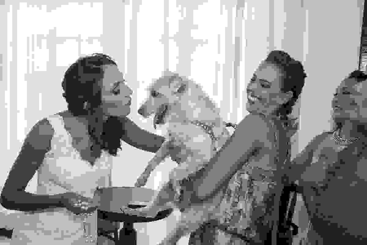 Casamento ao Ar Livre em Rio das Ostras - RJ - Cachorro