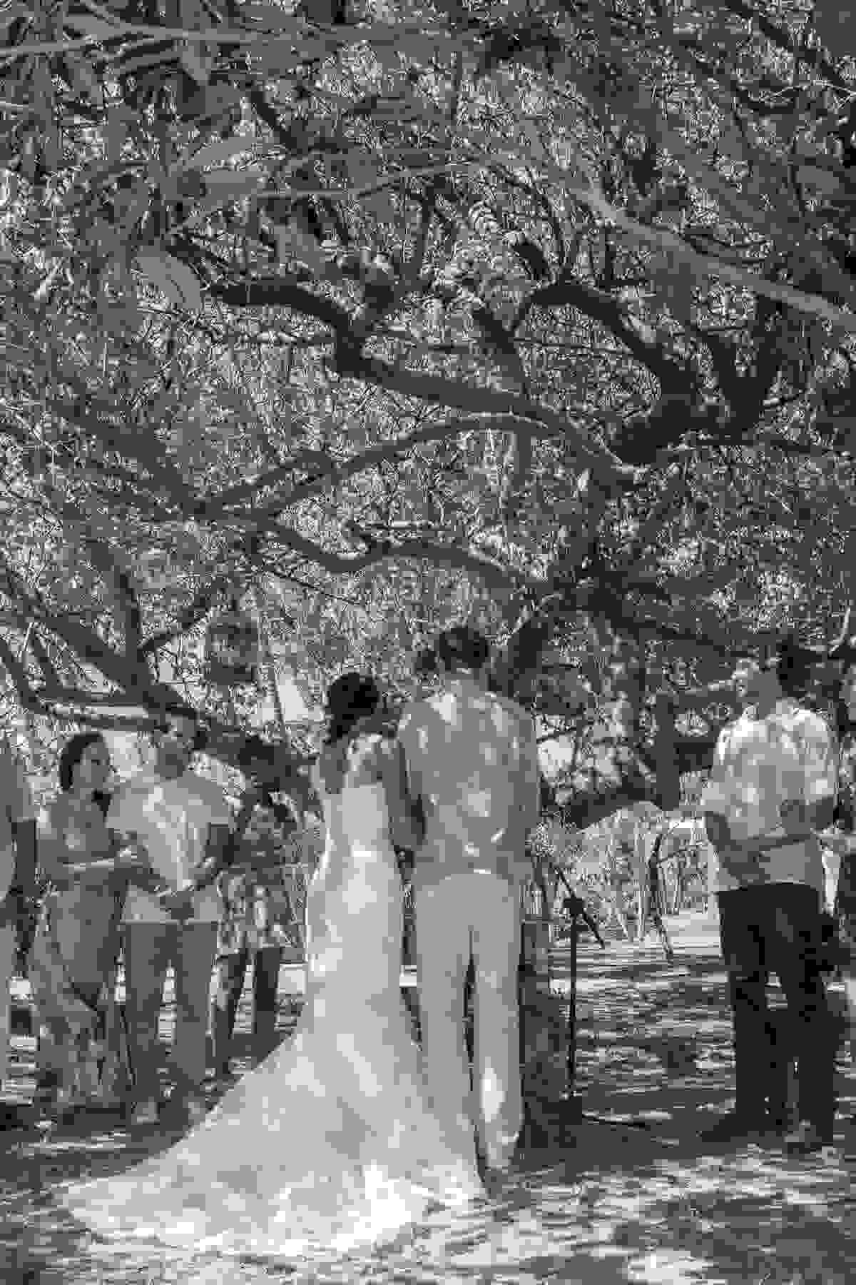 Casamento ao Ar Livre em Rio das Ostras - RJ - embaixo da arvore