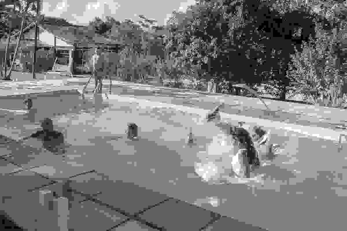 Fotografia de Casamento em Rio das Ostras - Casar no campo - RJ