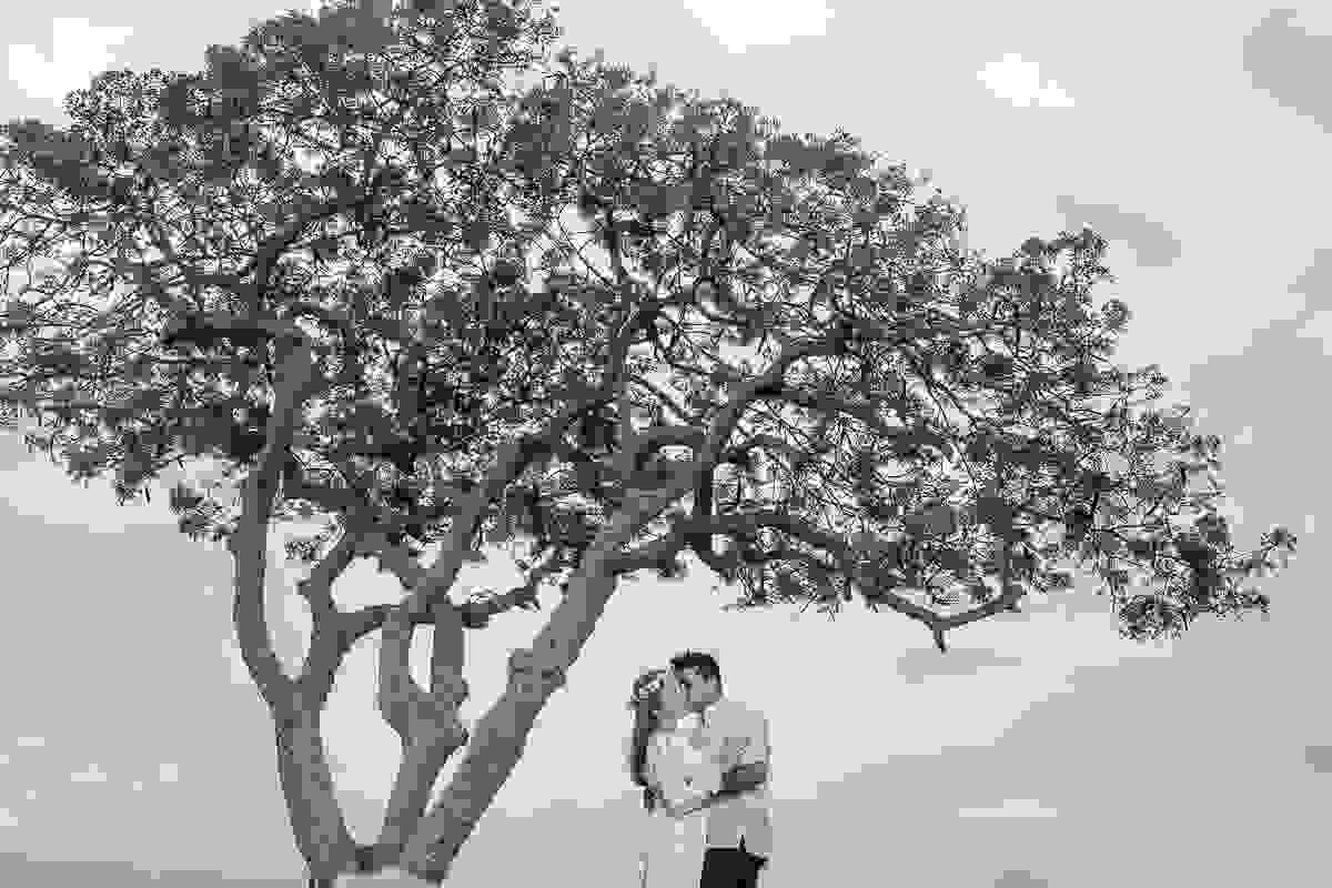 Linda fotografia de casamento mostra casal em cena romantica debaixo de uma arvore com lindas flores vermelhas em ensaio fotográfico pós casamento em armação de búzios