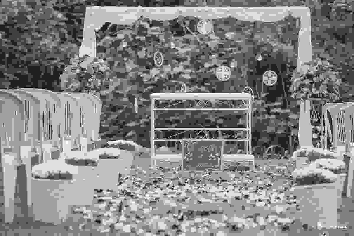 casamento, amor, cura, vida, mini, wedding